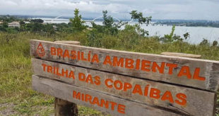 Parque das Copaíbas