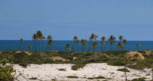 Costa dos Coqueiros