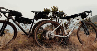 Arenita, a primeira bicicleta gravel da Caloi