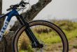 Caloi 29 Elite Carbon FS Sport