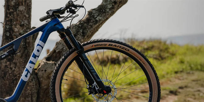 Caloi 29 Elite Carbon FS Sport