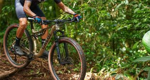 Caloi amplia linha Elite Carbon com modelos equipados com transmissão eletrônica