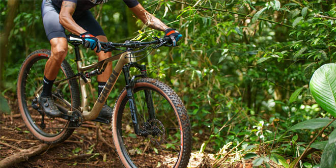 Caloi Elite Carbon FS Racing