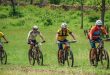 Desafio Jenipapo Bike