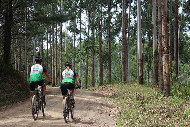 UCI Gran Fondo Brazil