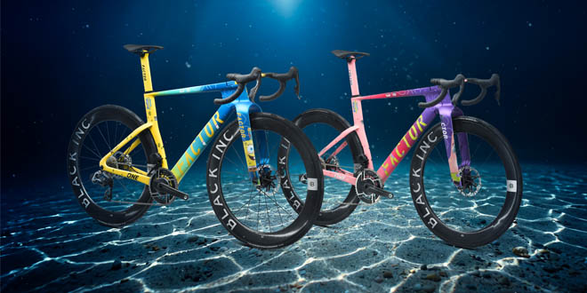 Factor One XXRay Plus SpongeBob SquarePants Edition e Factor One XXRay Plus Patrick Star Edition